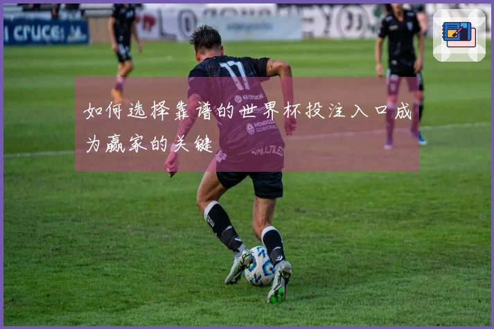 如何选择靠谱的世界杯投注入口成为赢家的关键