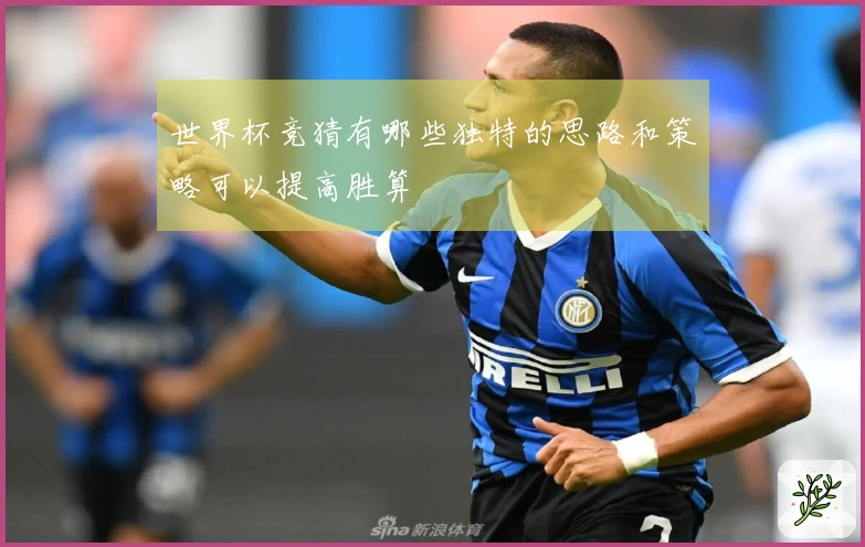 世界杯竞猜有哪些独特的思路和策略可以提高胜算