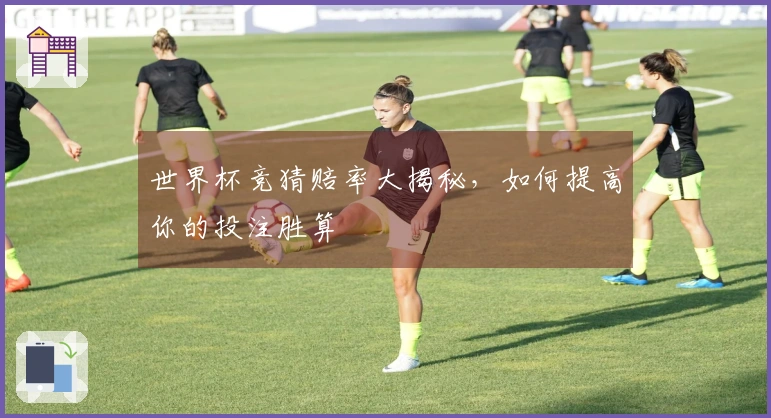 世界杯竞猜赔率大揭秘，如何提高你的投注胜算