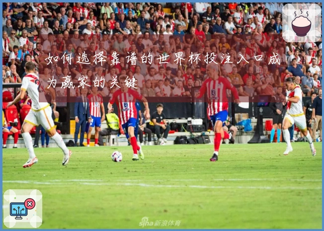 如何选择靠谱的世界杯投注入口成为赢家的关键