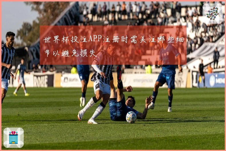 世界杯投注APP注册时需关注哪些细节以避免损失