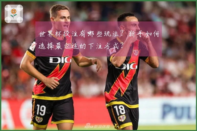 世界杯投注有哪些玩法？新手如何选择最合适的下注方式？