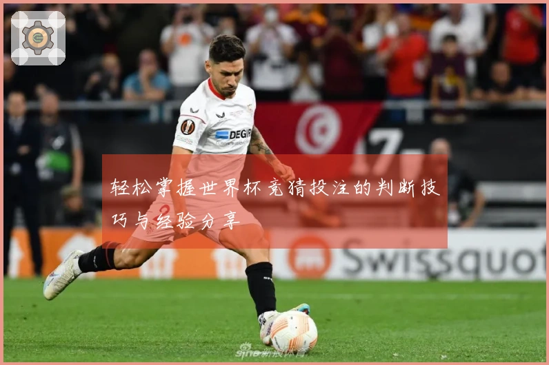 轻松掌握世界杯竞猜投注的判断技巧与经验分享